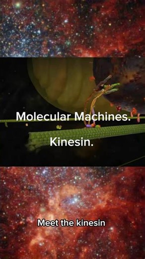 Kinesin: The Microscopic Workhorse Powering Every Cell