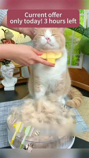 Effortlessly Remove Loose Fur with Cat Strip Combs