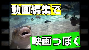 動画編集で、映画のフィルム風を演出する方法・やり方。｜動画編集のススメ