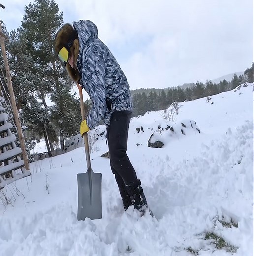 6.7K views · 139 reactions | 25 years ago, I acquired an abandoned cabin and initiated the renovation process. | Building Skills | Facebook