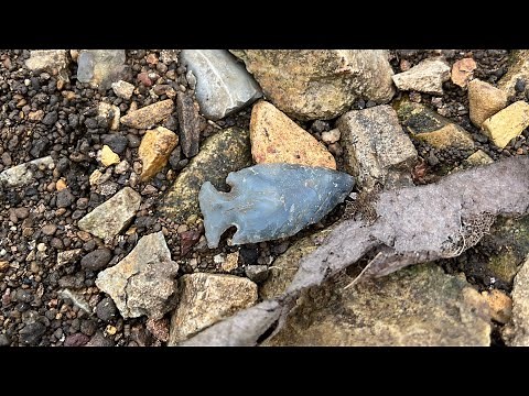 MUST WATCH!!! 3 KILLERS in one day!!! Alabama Arrowhead hunting