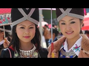 The Spirit Catches You and You Fall Down (Author: Anne Fadiman) BIRTH audiobook