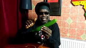 Macka B / Cucumber Song | Know Your Meme