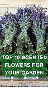Top 10 Most Fragrant Flowers for Your Garden 🌸💐 #gardeningtips #garden