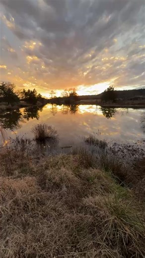 Long Lake Resort on Reels