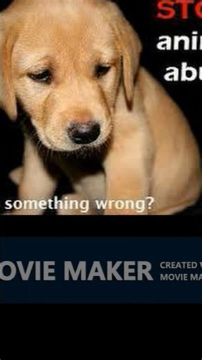 the United States Air Force & NASA get massive backlash in the animal testing industry #crime