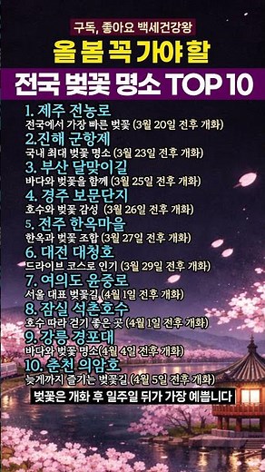 올 봄 꼭 가야 할 전국 벚꽃 명소 TOP10 #벚꽃여행 #벚꽃명소 #벚꽃개화시기 #봄여행 #벚꽃예쁜곳