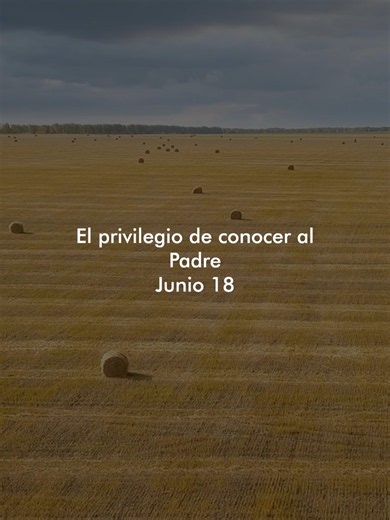«El Padre sabe lo que les hace falta» A veces nos desgastamos buscando las palabras perfectas para rezar, como si tuviéramos que convencer a Dios. Pero Jesús nos recuerda que Él ya nos conoce y nos cuida. La oración no es un examen, es descansar en un amor que nos abraza. ¿Cómo cambia tu día al saberte escuchado de antemano? #Evangelio #Cristianismo #Oremos #PalabradeDios #EvangelioDelDia #Reflexion #Bendiciones