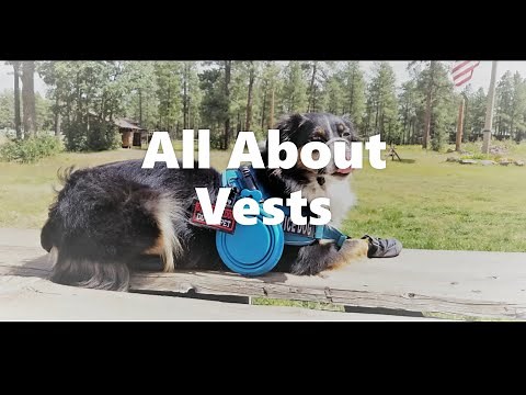 About Service Dog Vests