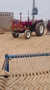 Chilli farm at Multan Taty pur# | Agriculture mirch business