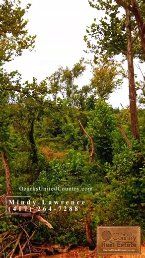 500+ feet of Eleven Point River Frontage https://ozarksunitedcountry.com/listing-detail/1169543261/Tbd_Lot_4_County_Road_278-Myrtle-MO | United Country Real Estate - The Ozarks | Facebook