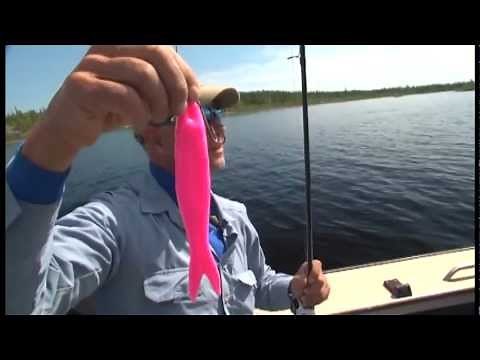 2012 WLL Hunt for Big Fish