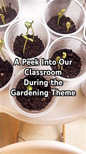 A snippet of two days in our #toddler and #preschool classroom! Check out more in my longer videos!
