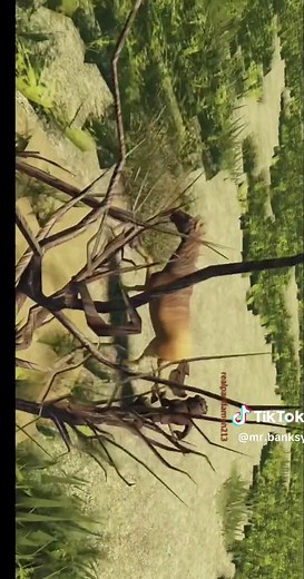 How to Rotate Your Screen in Roblox: Step-by-Step Guide