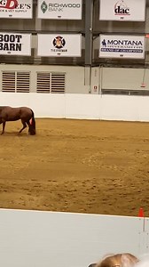 Polly and my Youth 15-18 Showmanship pattern! Incredibly proud of Polly with this being her first year of showmanship AND her first congress horse show!!!🫶🏼😍🐴 #fun #showmanship #mare #congress #horse | Madalynn L Redline
