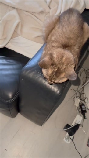 18v usb outlets for changing devices on the go cheap set up , every dad has a tool that’s 18v fact , never new power , easy 2 days with out plugging in , 546tip #18V #letsgo | Neville Nicoll | Facebook