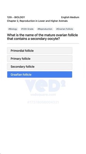 12th Biology Reproduction Mature Ovarian Follicle