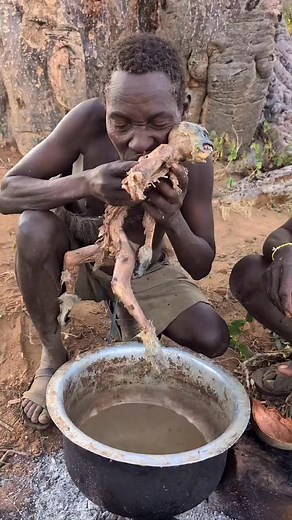 Suku Hadzabe, adalah suku pemburu-pengumpul yang tinggal di Tanzania, khususnya di daerah Baray di Distrik Karatu, wilayah Arusha barat daya. | Mu Hai Min