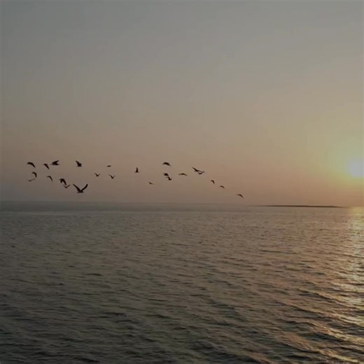 1.9K views · 33 reactions | There’s something about Hank Williams Jr.’s “Mr. Weatherman” that hits different. The way his voice cracks with emotion, the way the lyrics feel like a prayer for better days. It’s pure country — no filters, no polish, just Hank Jr. pouring his soul into every word. ️ | Music Charts | Facebook