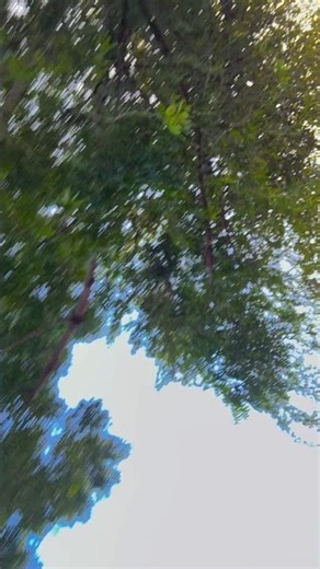 પહેરી જોધપુર ની મોજડી તુ આવજે રૈ🥰 gujarati Trending song #gujarati #trending #status #vairal