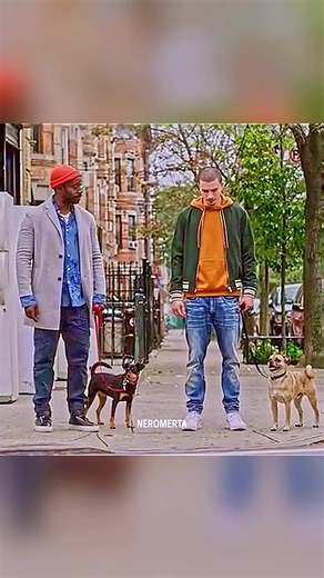 ¿Quién tiene el perro más obediente?