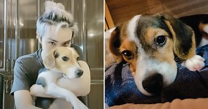 WayV's Xiaojun Is The Best Dog Dad To Bella