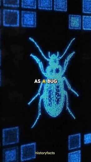 Facts about the computer bug
