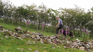 2.6K reactions · 1.6K shares | Despite media coverage to the...