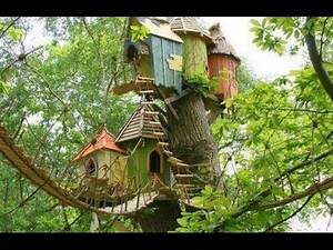 Baumhäuser. Die schönsten baumhäuser