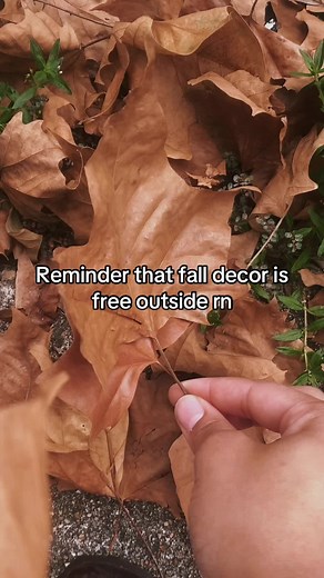 Cozy Fall Room Decor Ideas for a Warm Atmosphere