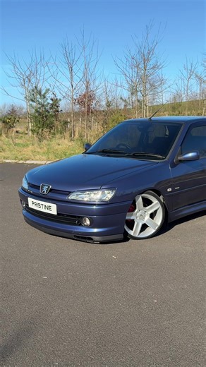 Join 306 Live on Our Website Today!