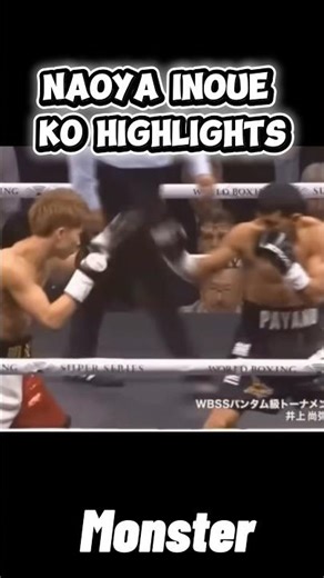 Naoya Inoue KO Highlights #boxing #井上尚弥 #cat #funny