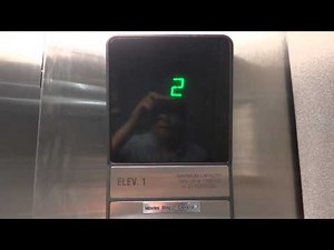 Disney World: Otis Hydraulic Elevators @ All Star Movies Resort: (101) Dalmatians, Building 1