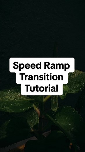 Speed Ramp transition Tutorial in CapCut. #tutorial #vanishasherly #transitions #speedramp #capcuttutorial #edit #fyp #foryou #foryoupage #mobilevideo #capcutmobileedit #editing