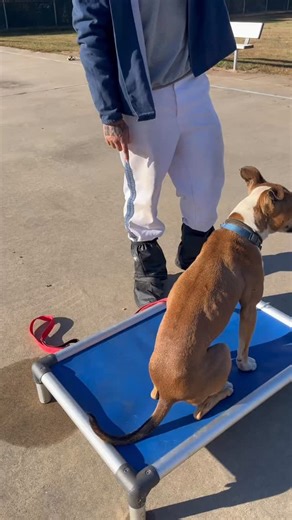 168 reactions · 24 shares | Today Gold held a flawless 10–15 second...