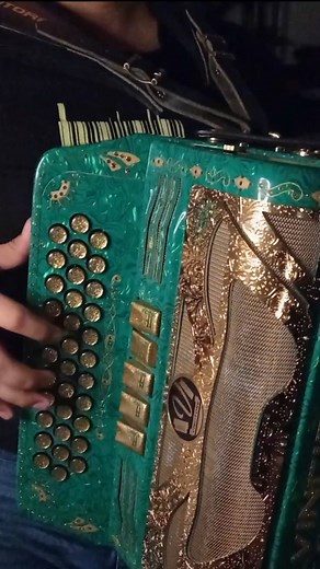 760 reactions · 20 shares | El Vago De Los Nike @titotorbellinojr_1 流 @vincitoreaccordions | Durán | Facebook