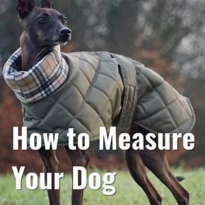 Thewhippetcoats - Etsy UK