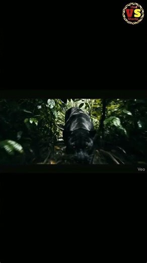 King Cobra vs Python | Deadliest Snake Battle 🐍#shorts #viralshorts #funny #cobra