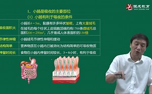 生理06章吸收11分钟