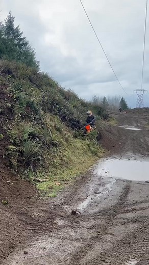 Watch this rider power an orange dirt bike up a super muddy hill! Impressive control and a great show of skill. What do you think? #DirtBike #Mudding #Motorcycle #ExtremeSports #OffRoad | Viral MX