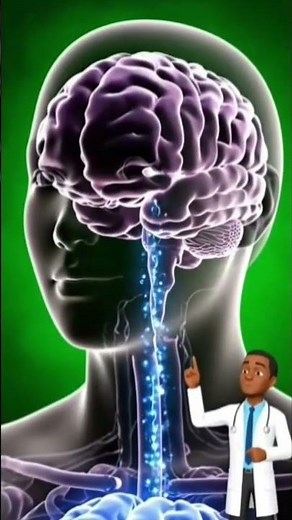 Blueberry Juice Benefits Explained | Part 1 | Effects on Brain & Digestion