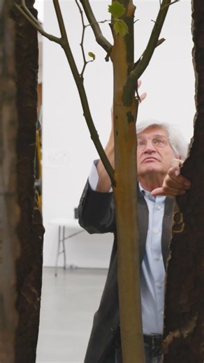 An exhibition of new bronze sculptures by Giuseppe Penone, opens on April 22, at Gagosian, New York.