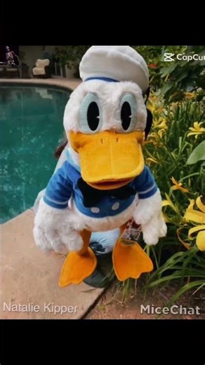 #shorts Donald Duck hand puppet