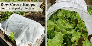 Row Cover Hoops for Frost and Pest Protection in Gardens & Raised Beds