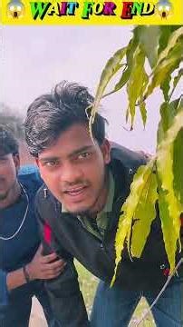 ‎#timelapse TIMELAPSE: START to FINISH Alone BUILD LOG Cabin (Wooden House), How To Build home