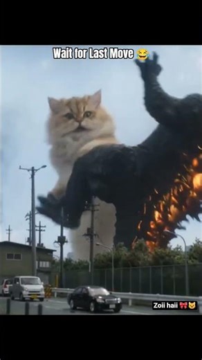 wait for Last Move 😂😺 cat vs godzilla #godzilla #cat #cat #godzillatokyosos #catfighter #trending