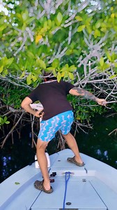 Secret hidden creeks can be sketchy to explore, but often produce great rewards when it comes to fishing! #Fishing | CEO Fishing