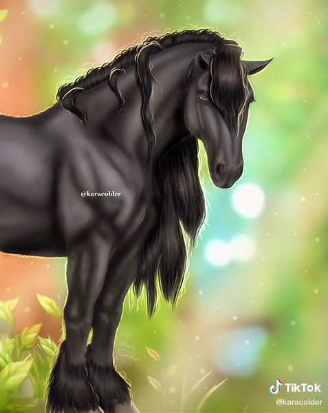 Star Stable Speed Paint Art by Karacolder
