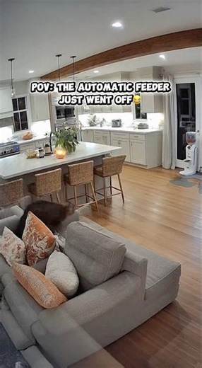 POV: the automatic feeder just went off😂
