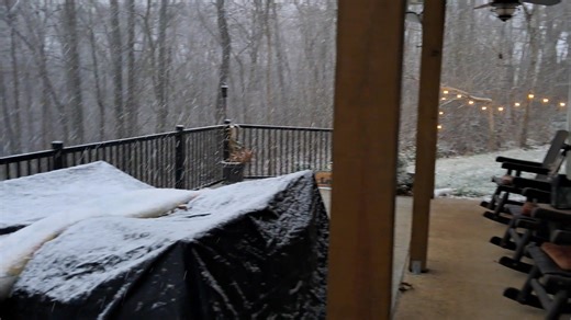 ❄️ Snow is falling in Perryville, Missouri! How are things looking where you live? (📸: Kendra Rhodes) | KFVS-TV